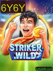 Descubra o Mundo de StrikerWILD